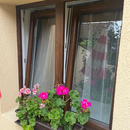 Kerti franciaágyas apartman Vac Bagian luar foto